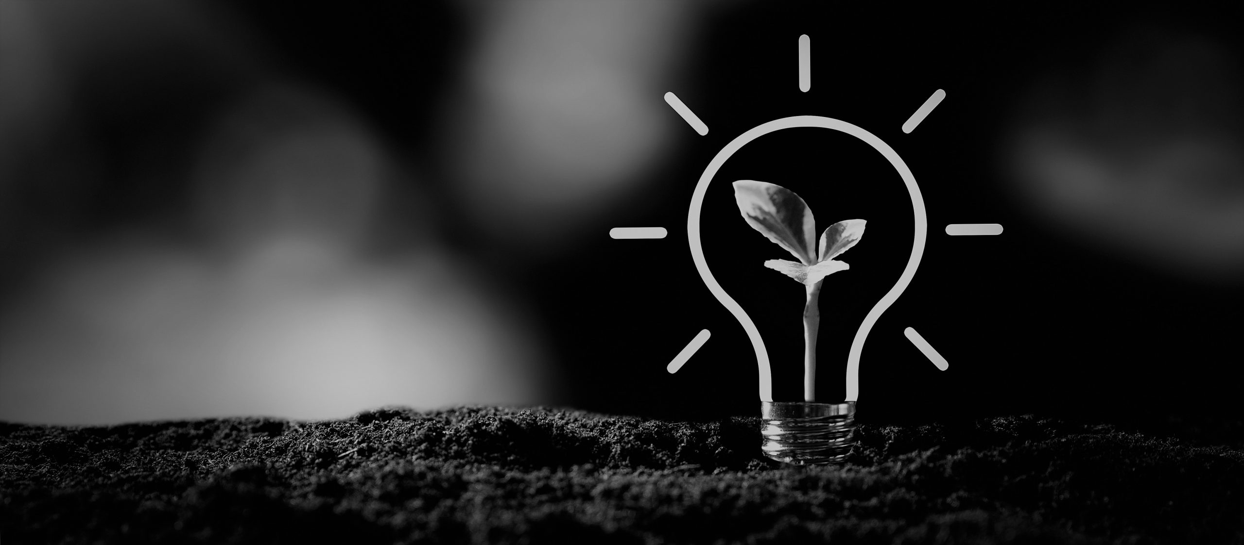 Leading the way on sustainability through embodied carbon assurance