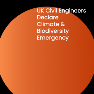 Civil engineers declare